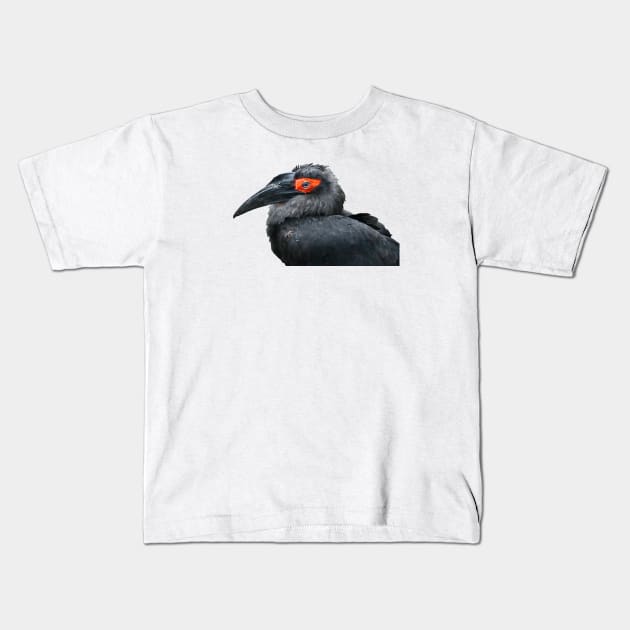 Bird 1 / Swiss Artwork Photography Kids T-Shirt by RaphaelWolf